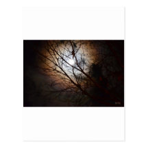Amore Post Card