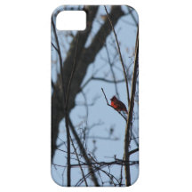 Amorous iPhone 5 Case