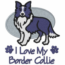 Amour border collie