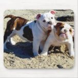 Amour de chiot anglais de bouledogues ! tapis de souris