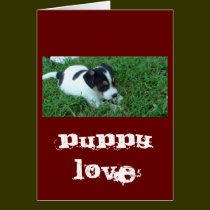 Amour de chiot cartes