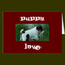 Amour de chiot cartes