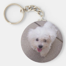 Amour de chiot porte-clefs