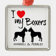 Amour de la coutume I mes boxeurs Ornement