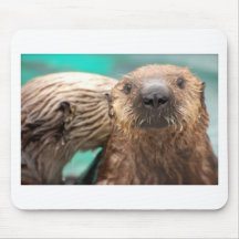 Amour de loutre de mer tapis de souris