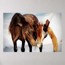 Amour de poney posters