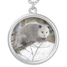 Amour d'opossum collier