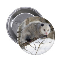 Amour d'opossum pin's avec agrafe