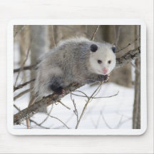 Amour d'opossum tapis de souris