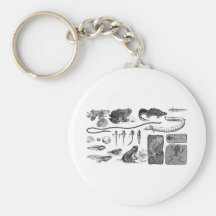 Amphibian Evolution Keychains