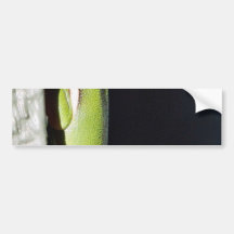 Amphibian Frog Green Frog On Wall Bumper Sticker