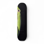 Amphibian Frog Green Frog On Wall Skate Board