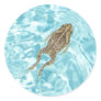 Amphibian Stickers 01