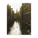 Amsterdam Canal Swans Photo Postcard