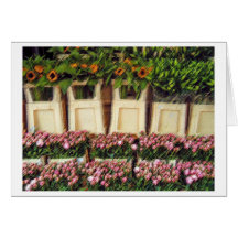 "Amsterdam Flowers" Card
