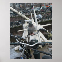 Amsterdam Pigeon on Bike Holland Photo Poster
