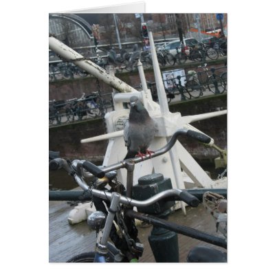 Amsterdam Pigeon(s) and Bike(s) Card by hollandshop