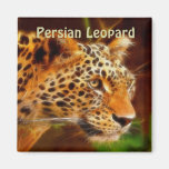 Amur (Persian) Leopard Art Gift Magnet