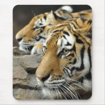 Amur Tiger Cub Mouse Pads