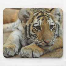 Amur Tiger Cub Mousepad