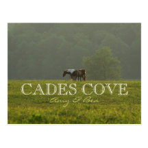 Amy & Ben Horses - Cades Cove postcard