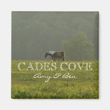 Amy & Ben Horses in Cades Cove Refrigerator Magnets
