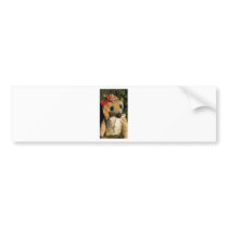 Amy Goodrich Collectables "Embroidered lady bear"