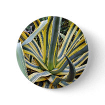 An Agave Cactus Not Blue Agave Though Pinback Button
