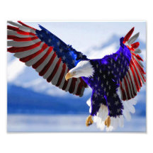 An American Eagle Photo