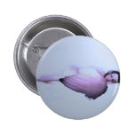 An Angel Sleeps Pinback Button