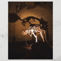 An animal skeleton in museum custom flyer
