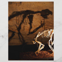 An animal skeleton in museum flyer