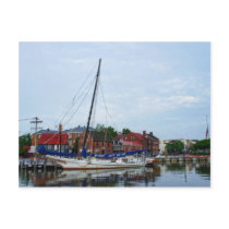 An Annapolis Sailboat Postcard