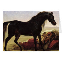 An Arabian Horse Greeting Cards