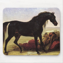 An Arabian Horse Mouse Pad