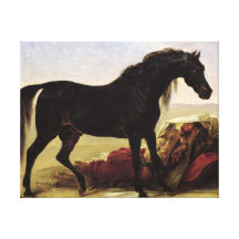 An Arabian Horse Stretched Canvas Prints