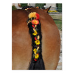 An Ardennes horse with plaited tail Postcards
