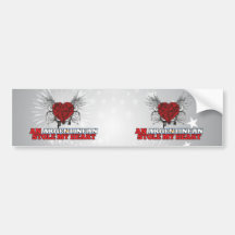 An Argentinean Stole my Heart Bumper Stickers