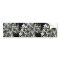 An Aspen Canopy Located On The Slope Of The San Fr Bumper Sticker