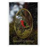 An Aussie Christmas Greeting Cards