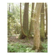An Awkward Position (Trees) Photo Print
