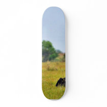 An Egret Riding A Cow Skate Decks