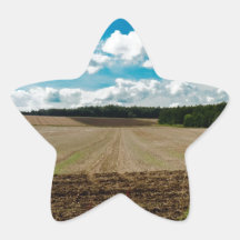 An English Sky Star Sticker