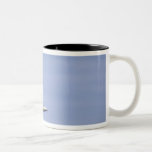 An F/A-18E Super Hornet reaches the speed of so Mug