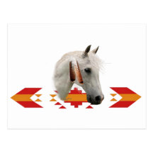 An Indian Pony Post Cards