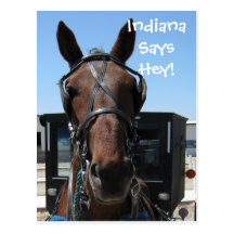 An Indiana Hey! Post Cards