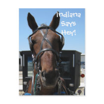 An Indiana Hey! Post Cards