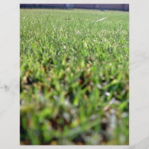 An insect's eye view of lawn flyers