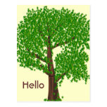 An Odd Tree Postcard