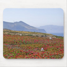 Anacapa Island Mouse Pad